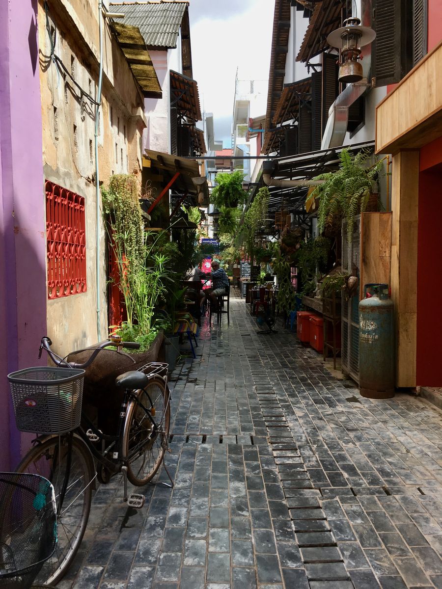 A quiet residential lane in Siem Reap with a parked bicycle and potted plants along the wall