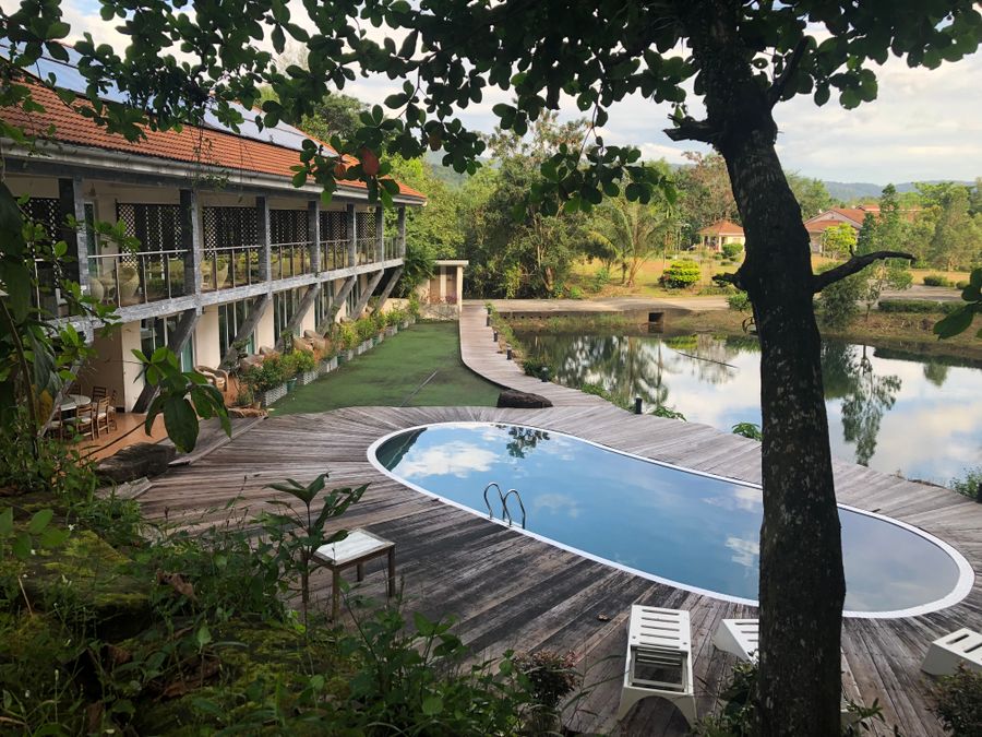 A resort swimming pool in Cambodia edged with loungers and dense tropical planting