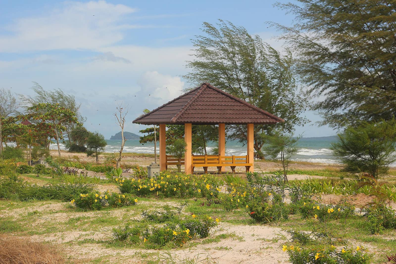 A wooden shelter with benches standing among flowering scrub on the sand at Otres Beach, the sea and casuarina pines behind it